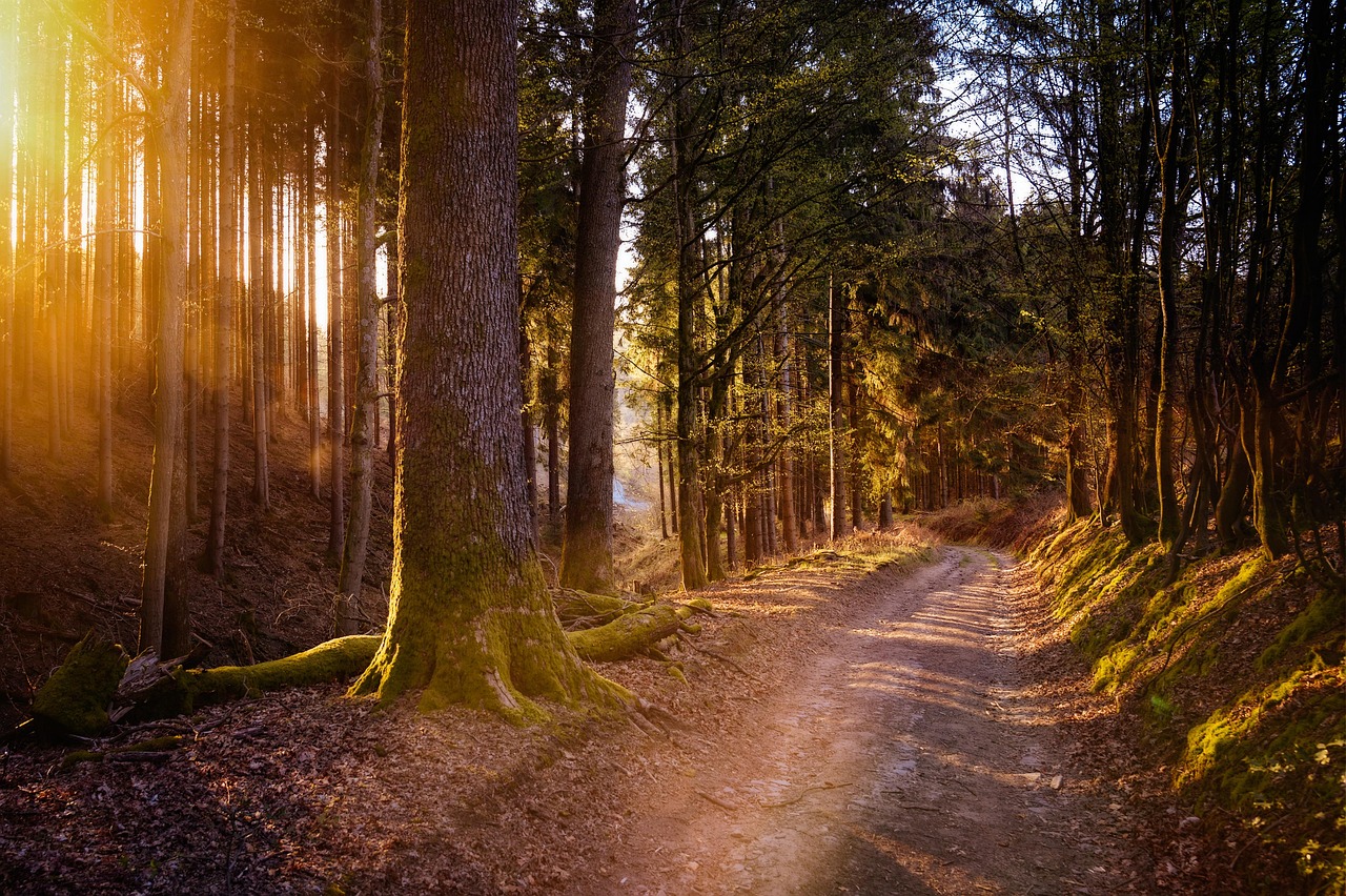 Designing a Life That Doesn't Require Recovery